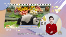 亚洲不卡一区二区三区